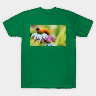 Echinacea Purpurea with Bee T-Shirt